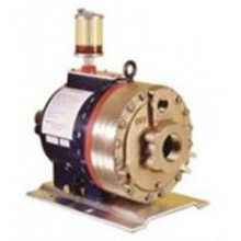 美國PROCESS SYSTEMS泵