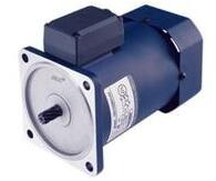 美國(guó)H2W電動(dòng)機(jī)馬達(dá)