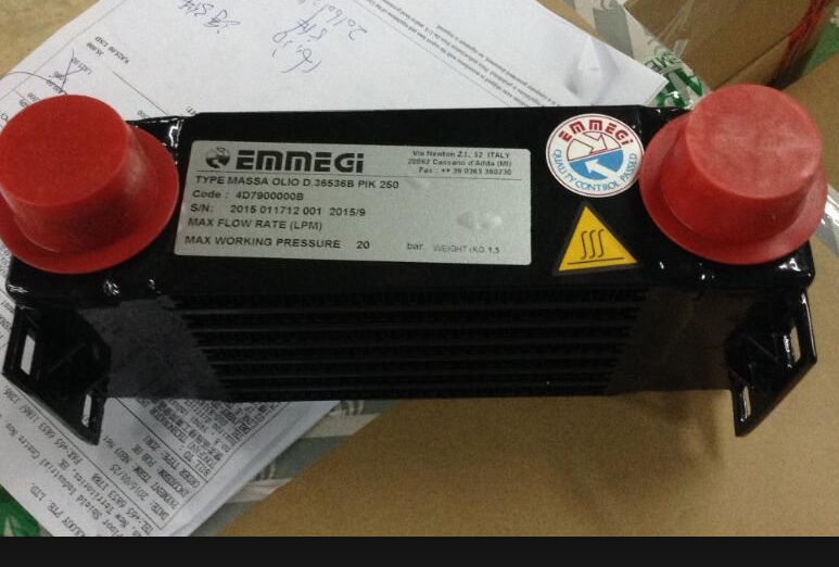 意大利EMMEGI冷卻器