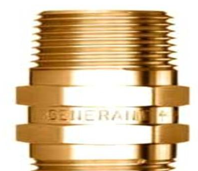 Generant低溫泄放閥